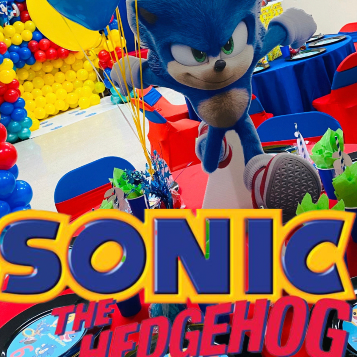 Sonic Movie pose png  Sonic the hedgehog, Sonic, Sonic party