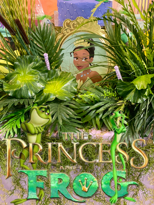 Princess & the frog  DIY Kit