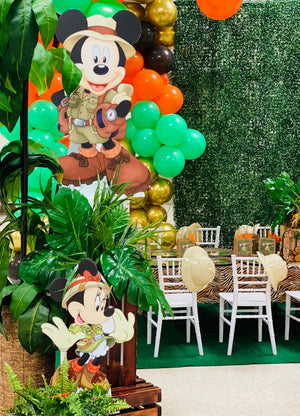 Disney Safari DIY Kit