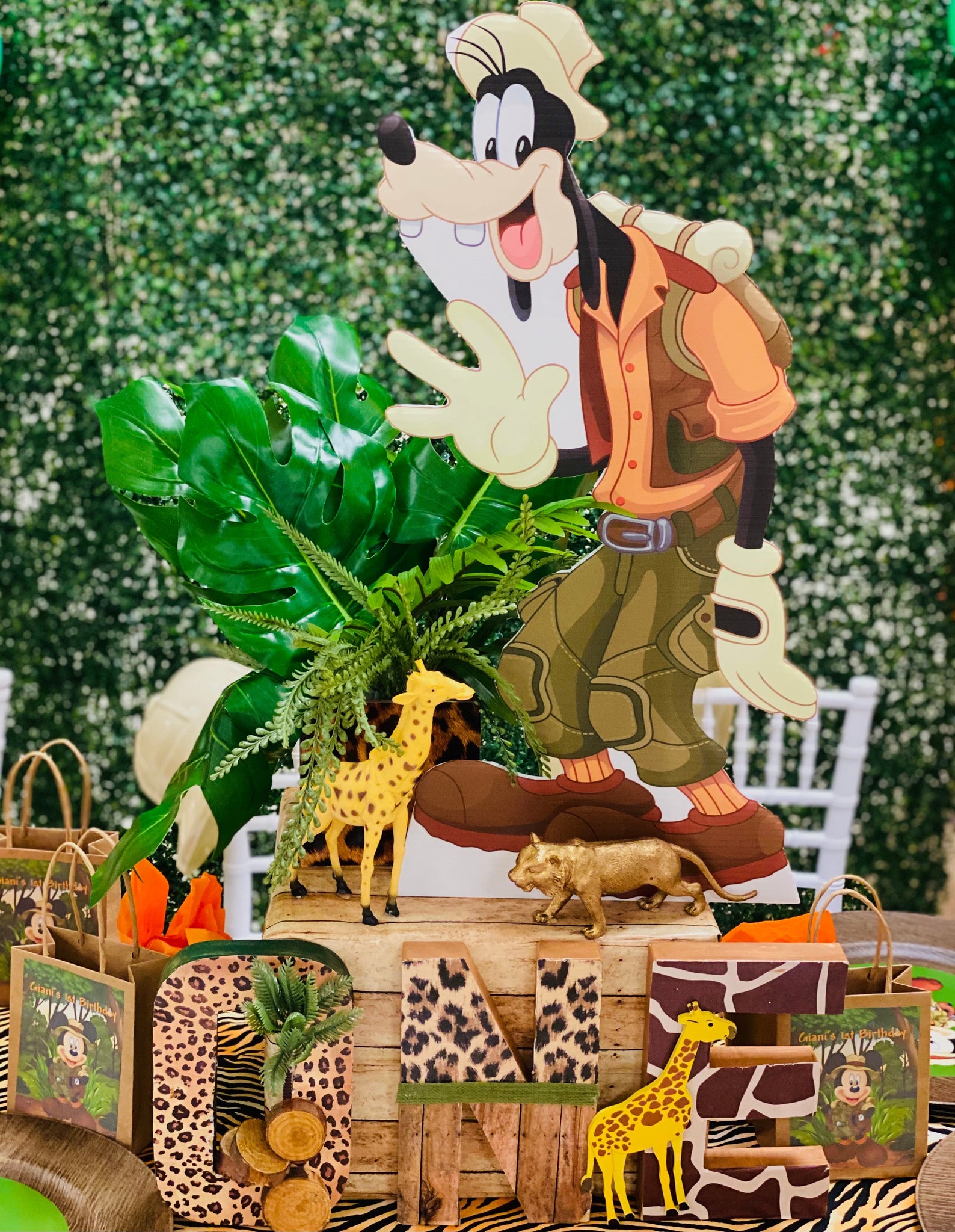 Disney Safari DIY Kit