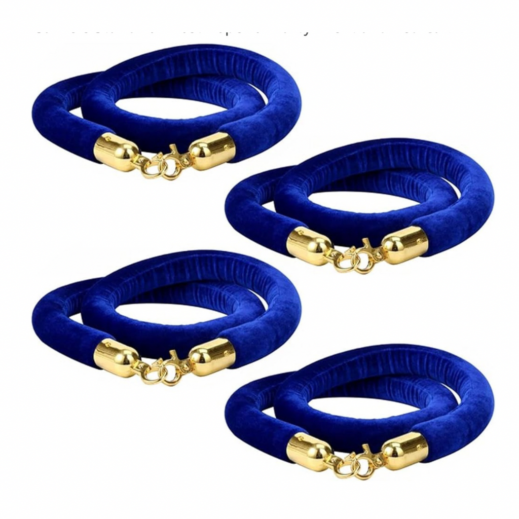 Blue Stanchion Rope