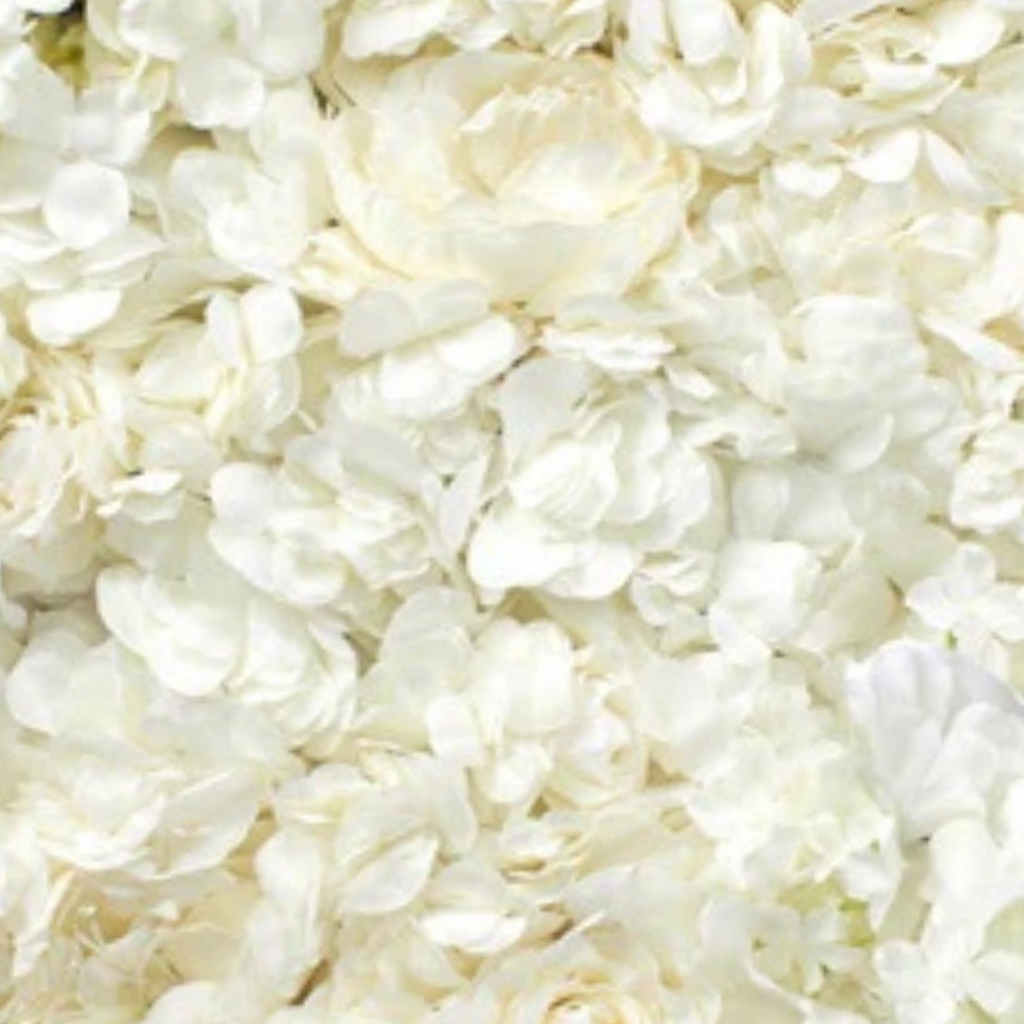 Ivory Floral Wall