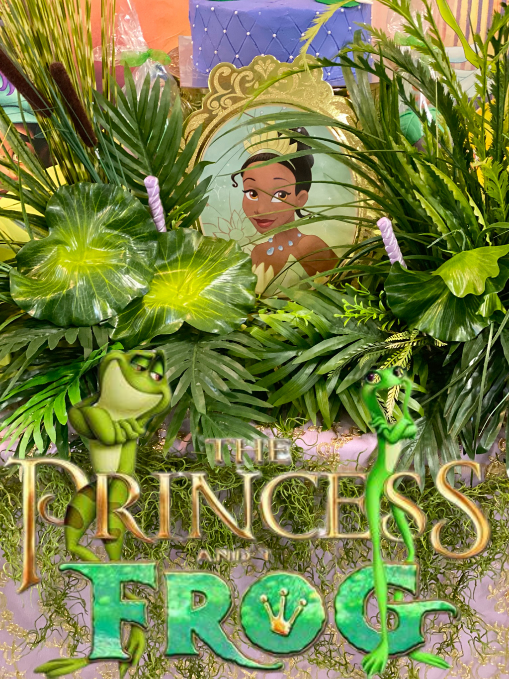 Princess Tiana Props