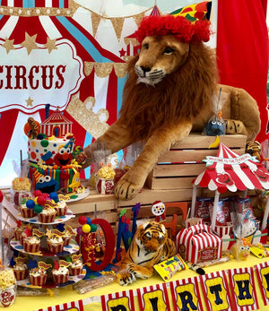 Circus/ Carnival props